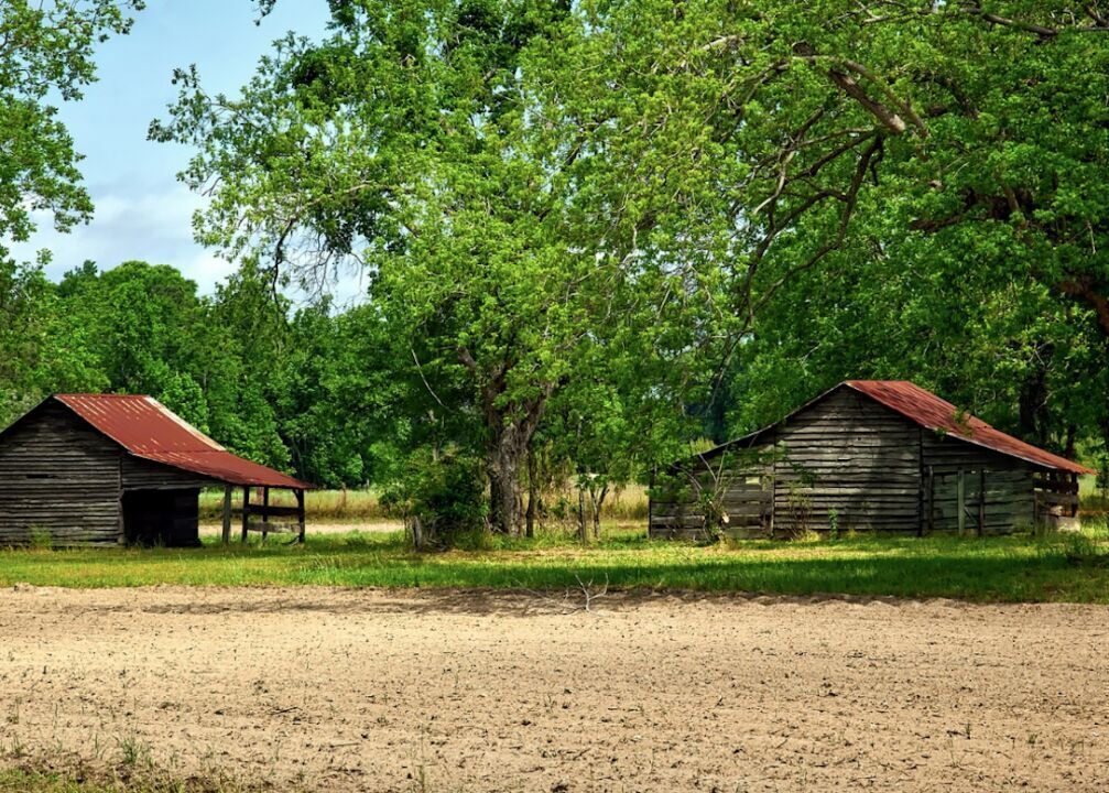 #21. Alabama